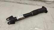Stoßdämpfer hinten links MERCEDES-BENZ GLE (W166) 250 d 4-matic (166.004) A1663261500
