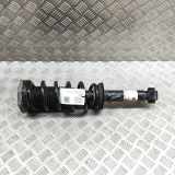 Stoßdämpfer links hinten BMW X3 (G01, F97) 6871802
