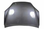 Motorhaube Tesla Model X (5YJX)