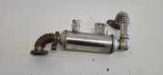 Abgaskühler Ford Focus Turnier (DNW) 4M5Q9F464B1C