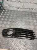 Gitter vorne unten AUDI A4 (8K2, B8) 2.0 TFSI quattro 8E0807682