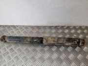 Stoßdämpfer hinten links JEEP GRAND CHEROKEE III (WH, WK) 5.7 V8 4x4 52089756AF