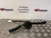 Blinkerschalter Fiat Ducato Kasten (244)