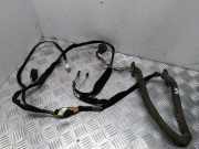 Kabelbaum RENAULT TRAFIC II Furgon (FL) 2.0 dCi 115 (FL01, FL0U) 820036454800