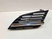 Vorderer oberer Gitter NISSAN PRIMERA Hatchback (P12) 2.2 Di 62330AU300