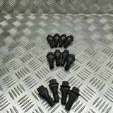 Radschraubensatz BMW X5 (G05) xDrive 30 d 6795153