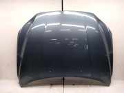 Motorhaube Volvo V70 III (135)