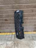 Vorderer oberer Gitter LAND ROVER RANGE ROVER EVOQUE (L538) 2.0 D 4x4 #E2887 GJ32-8200-D