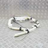 Dach SRS rechts FORD FOCUS III 1.0 EcoBoost BAM-PT1-1624 BAMPT1-1615