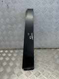 Türverkleidung links hinten VW Touran (1T3) 1T0839889