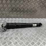 Stoßdämpfer hinten rechts