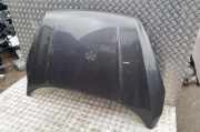 Motorhaube Ford Kuga II (DM2)