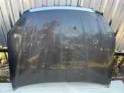 Motorhaube Fiat Croma (194)