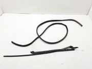 Türgummi links vorne Renault Trafic III Kasten (FG) 808337070R