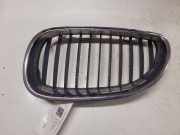 Kühlergrill oben BMW 5er (E60) 51137027061A