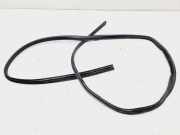 Türdichtung Ford Fusion (JU)