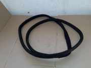 Dichtungsgummi der hinteren Tür (an der Karosserie) MERCEDES-BENZ C (W204) C 200 CDI (204.007, 204.006)