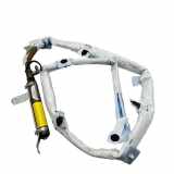 SRS Modul Dach links AUDI A3 Sportback (8PA) 2.0 TFSI quattro 1005364 8P4880741E