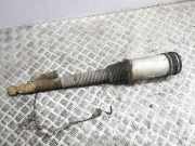 Stoßdämpfer hinten links MERCEDES-BENZ S (W220) S 320 CDI (220.026, 220.126) 781241E