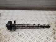 Einlassnockenwelle JEEP GRAND CHEROKEE IV (WK, WK2) 3.0 CRD V6 4x4 20182086F