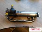 Abgaskühler Mitsubishi Grandis (NA0W) MN980327