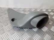 Armaturenbrett Seitenverkleidung RENAULT TRAFIC II Furgon (FL) 1.9 dCi 100 (FL0C)