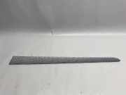 Türverkleidung vorne links