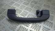 Griff Panoramadach BMW X5 (E70) 6977696