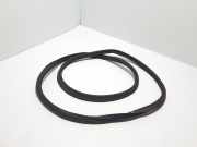 Türdichtung Renault Scenic IV (J9) 908309596R