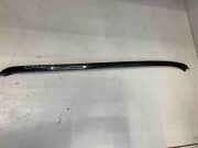 Frontscheibenrahmen links BMW X5 (E70)