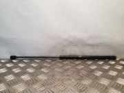 Gasfeder für Motorhaube Seat Toledo II (1M) 1M0823359A