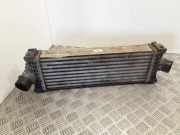 Ladeluftkühler FORD TRANSIT CUSTOM 2.0 TDCi GK216K775AE