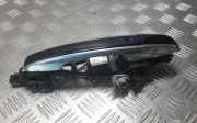 Türaußengriff links LAND ROVER RANGE ROVER IV (L405) 4.4 D V8 4x4 CK52203A29ND