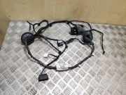 Türverkabelung hinten rechts