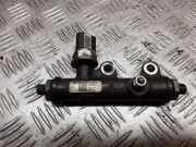 Einspritzleiste Peugeot 407 Coupe () 4R8Q9C066AE