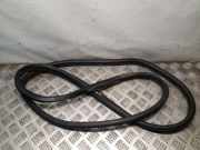 Türdichtung Nissan Juke (F15)