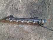 Einspritzleiste Hyundai Santa Fe II (CM) 0445214085