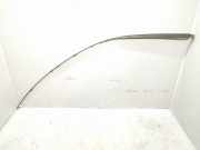 Dachleiste links MERCEDES-BENZ A (W169) A 180 CDI (169.007, 169.307) A1696900330