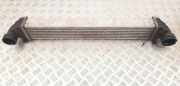 Ladeluftkühler MERCEDES-BENZ B (W245) B 180 CDI (245.207) G0976002