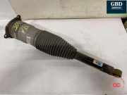 Gasdruckfeder Tesla Model S (5YJS) 600635200C