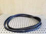 Türdichtung Honda CR-V II (RD)