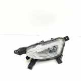 Nebelscheinwerfer vorne rechts HYUNDAI TUCSON (TL, TLE) 1.7 CRDi 92202-D7000