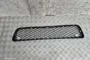 Kühlergrill unten BMW X5 (E70) 51117163956