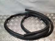 Türdichtung vorne rechts