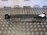 Ladeluftkühler BMW 5er Touring (E61) 1751779582301