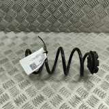 Schraubenfeder hinten links NISSAN JUKE (F16) DIG-T 117 55020-00Q2B