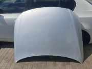 Motorhaube VW PASSAT B7 ALLTRACK (365) 2.0 TDI
