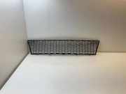 Gitter vorne unten BMW 7 (F01, F02) 750 i 7898167