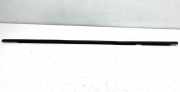 Zier-/Schutzleiste für Türscheibe Renault Grand Scenic III (JZ)