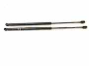 Heckklappe Gasdruckfeder rechts PEUGEOT 1007 (KM_) 1.4 6124QL0315N 9649587680